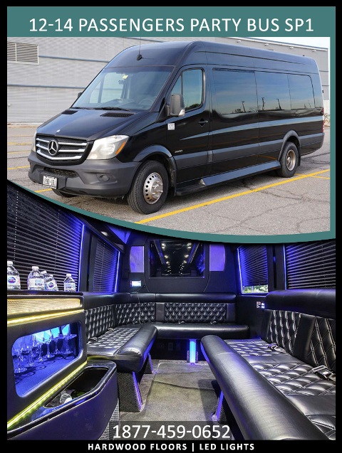 12-14 PASSENGERS PARTY BUS SP1