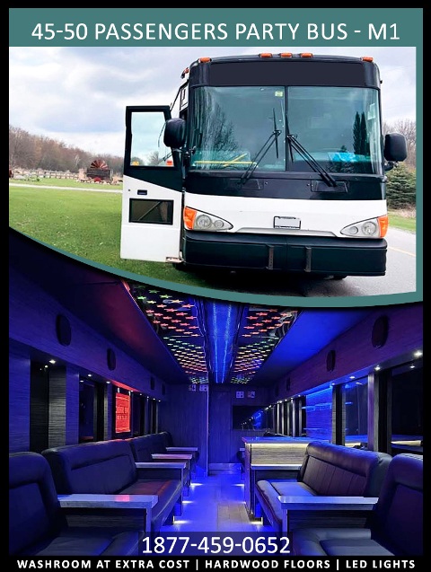 45-50 PASSENGERS PARTY BUS M1