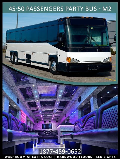 45-50 PASSENGERS PARTY BUS M2