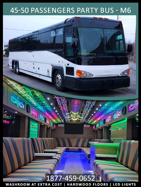 45-50 PASSENGERS PARTY BUS M6